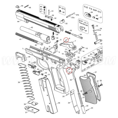 CZ 75 Trigger and Hammer Pin