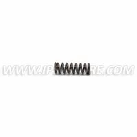 CZ P-10 Disassembly Plate Spring