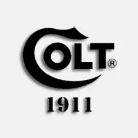 Colt 1911 Magwells